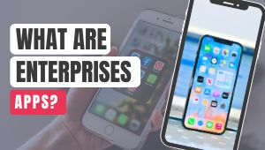 What Are Enterprises Apps: Its Challenges And Solutions
